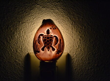 Carved Tiger Turtle Shell Nightlight