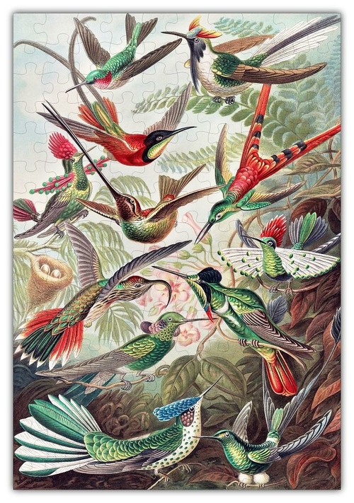 Haeckel's Hummingbirds Jigsaw Puzzle