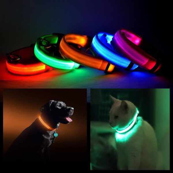 Led Pet Safety Halo Style Collar - multiple sizes and colors